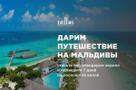 Подарки от службы доставки Dellos Delivery